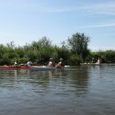 IMG_1311